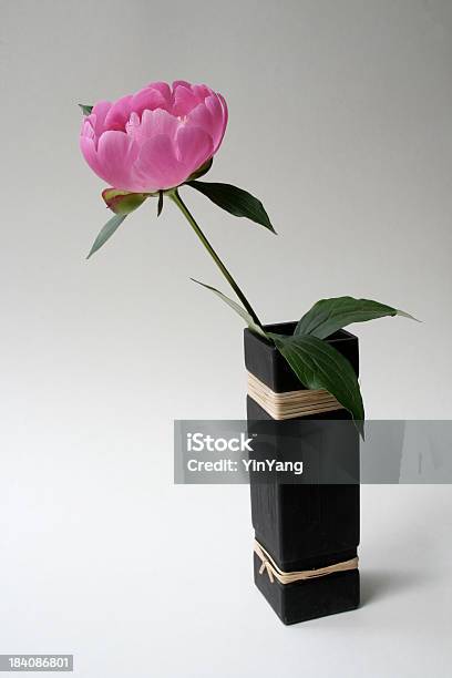 Pink Peony In Vase Stock Photo - Download Image Now - Blossom, Botany, Colors