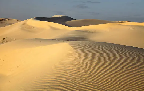 Rippled sand dunes in Monahans Sandhills State Park in Texas