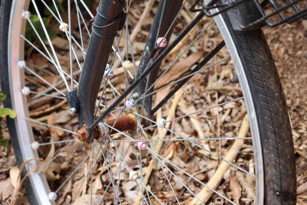 istock wheel of a bicycle in the forest 1840869396
