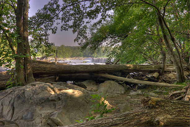 Dam and great falls of the Potomac river