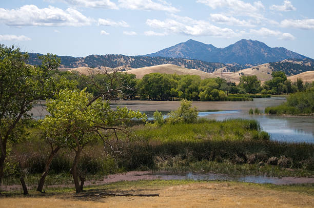 mt. diablo in california - mt diablo state park foto e immagini stock