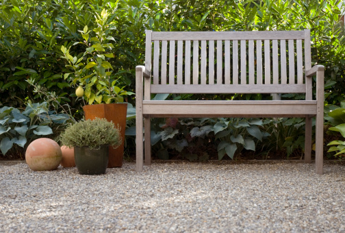 New bench in the courtyard of the building surrounded by plants