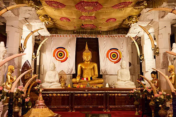 Photo of Buddha statue in Temple of Tooth, Sri Lanka