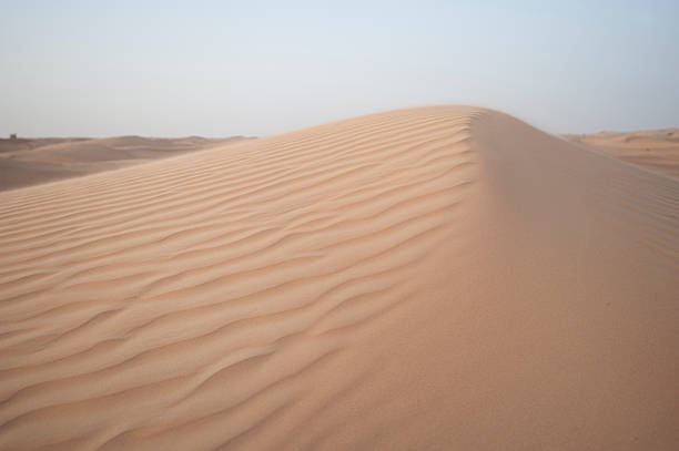 istock Close up of a sand dune 184088030
