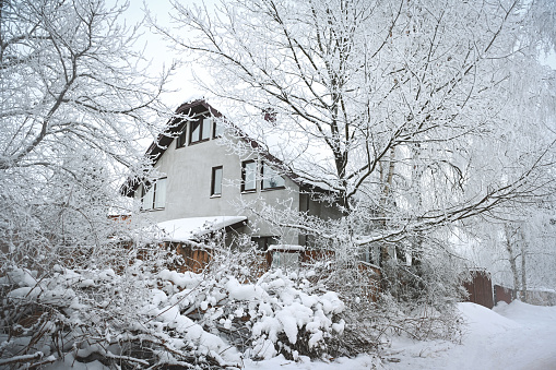 Red house in snowfall with evergreen trees - Sweden