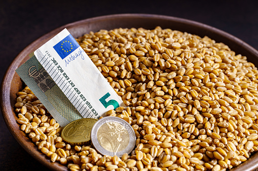 Grain of wheat in a bowl with europian currency. Exchange prices for grain concept.Grain deal or grain exchange trading concept