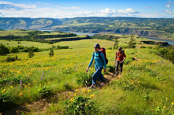 Couple hiking through meadow with flowers stock photo