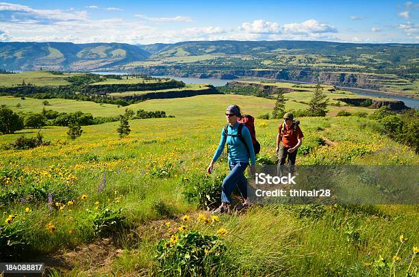 Couple Hiking Through Meadow With Flowers Stock Photo - Download Image Now - Columbia River Gorge, Oregon - US State, Hiking