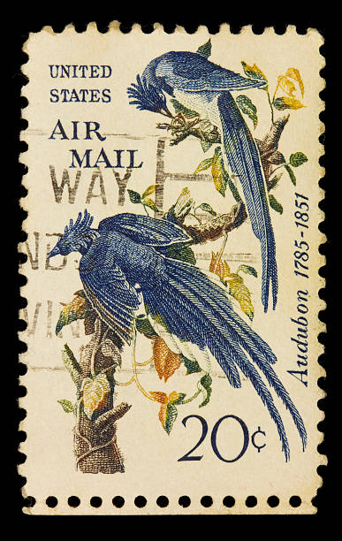 istock Postage Stamp from the United States: Circa 1950 184089417