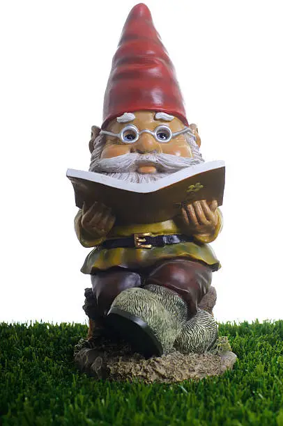 Photo of Garden Gnome reading book