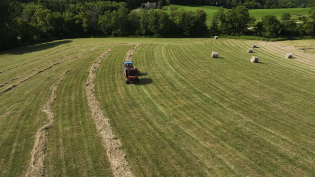 Tractor harvesting field with straw harvester, agriculture summer, aerial