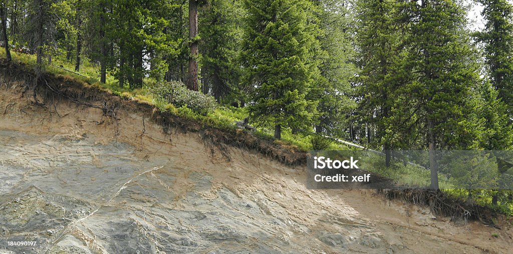 Erosion "Erosion on the side of a hill, seen like a cross-section. Rock, roots and topsoil are visible." Topsoil Stock Photo