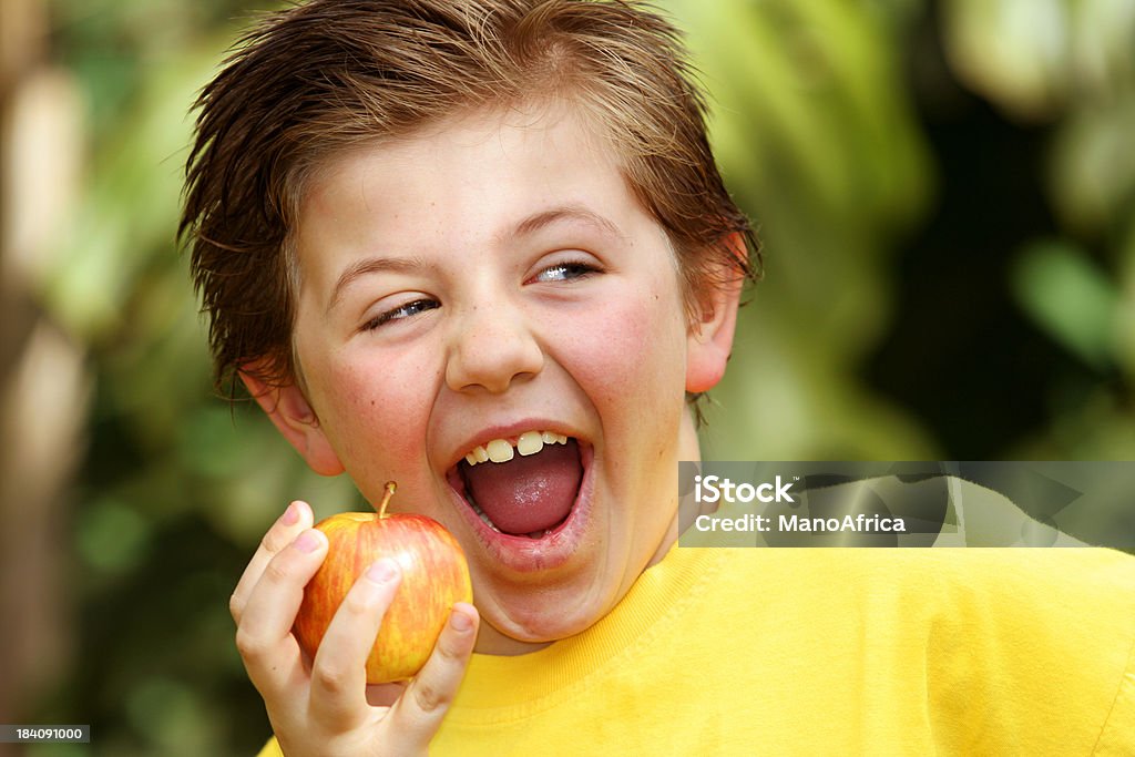 Junge Apple Landschaft 2 - Lizenzfrei Apfel Stock-Foto