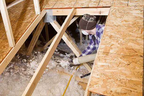 Worker Spraying Blown Fiberglass Insulation between Attic Trusses  spray insulation stock pictures, royalty-free photos & images
