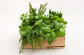 Wooden crate full of fresh herbs
