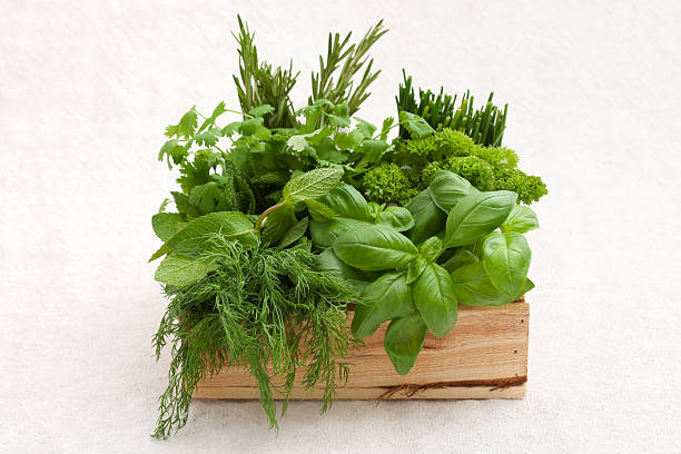 Wooden crate full of fresh herbs stock photo