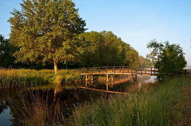 istock Wooden Bridge in a Park 184091450