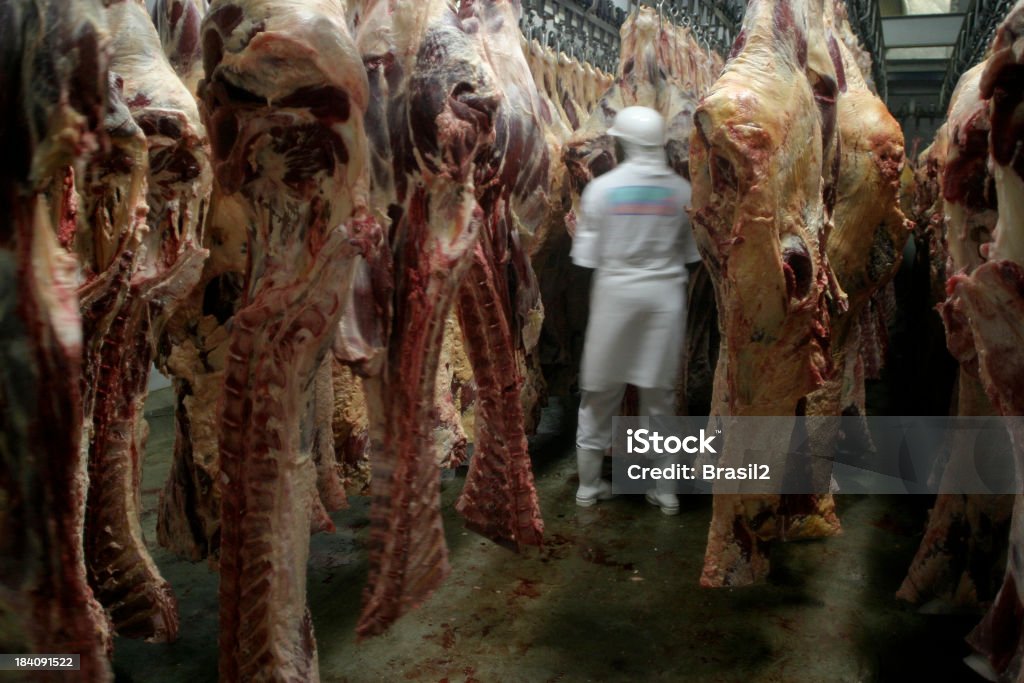 Matadero - Foto de stock de Matadero libre de derechos