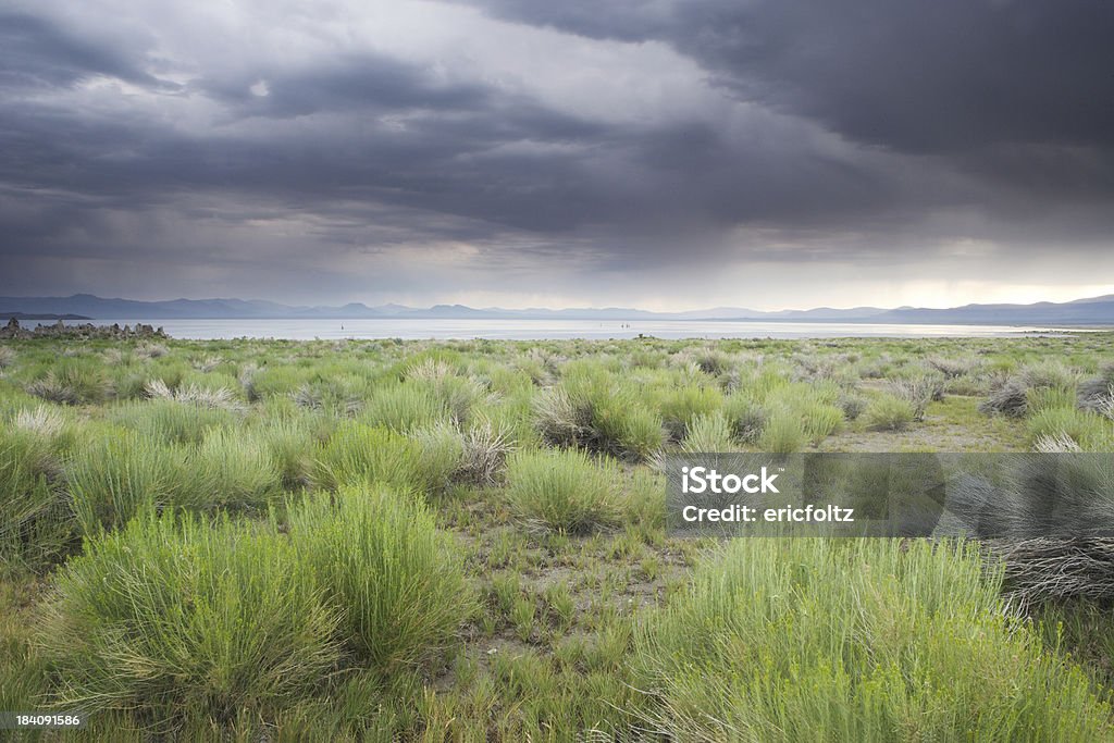 Approaching Storm "Mono Lake Tufa State Reserve, CaliforniaMore images from" California Stock Photo