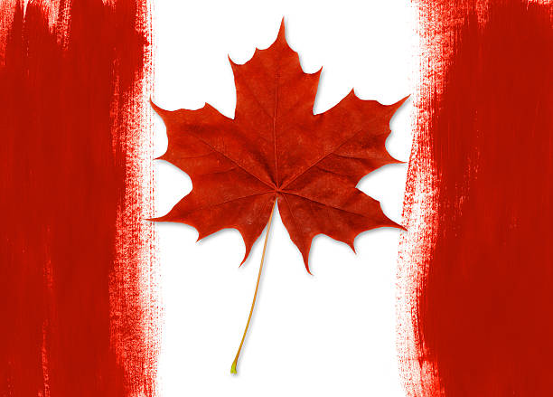 istock Canada Flag XXXL 184091618