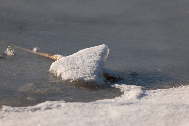 winter details