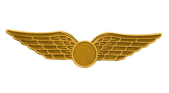 Gold wings isolated on a white background.