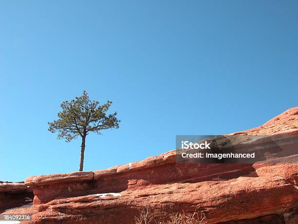 Red Rock Gipfel Mit Baum Stockfoto und mehr Bilder von Baum - Baum, Berggipfel, Blau