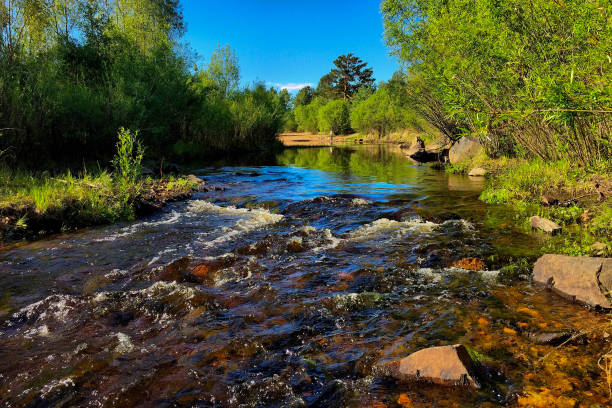 istock River in the forest on a sunny summer day. Landscape. 1840929262