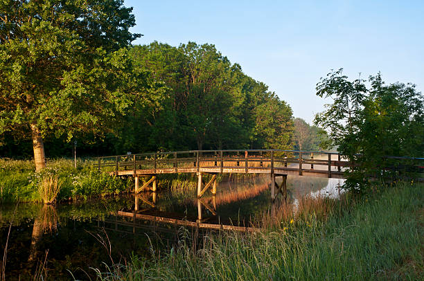 istock Wooden Bridge in a Park 184093089