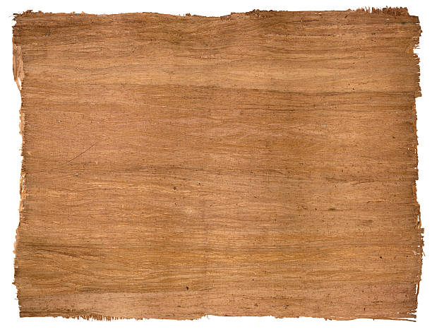 egyptian papyrus egyptian papyrus  parchment paper background texture papyrus paper photos stock pictures, royalty-free photos & images