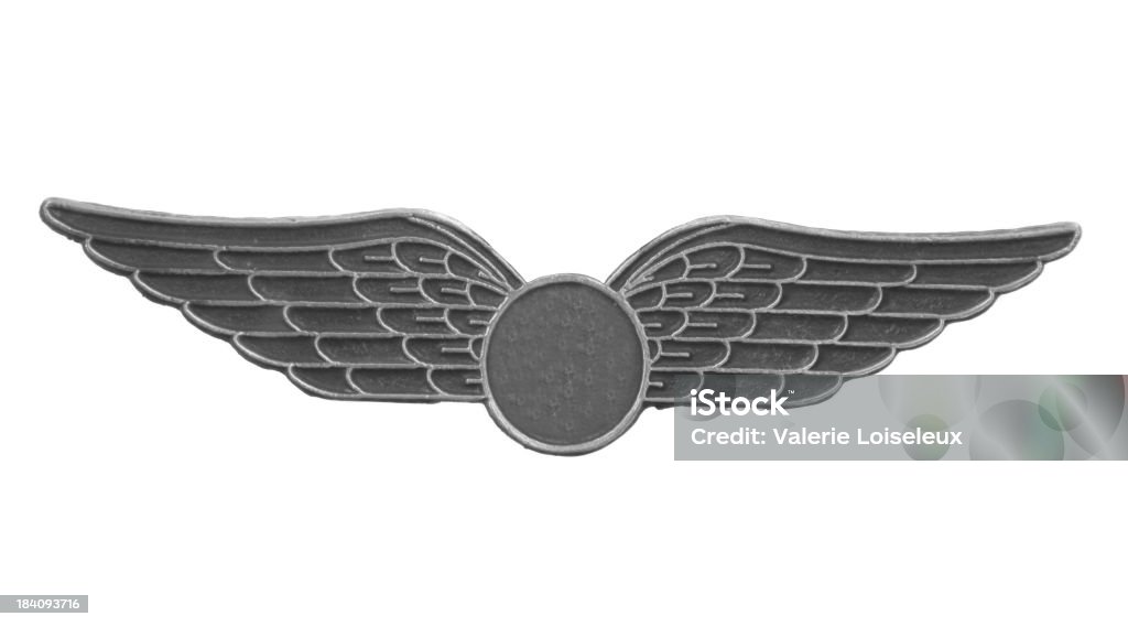 Silver wings Silver wings. Achievement Stock Photo