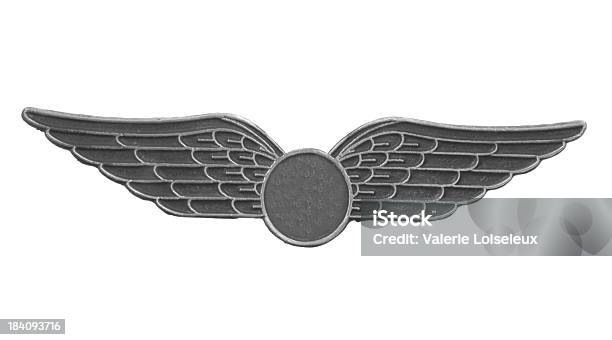 Silver Wings Stock Photo - Download Image Now - Achievement, Aerospace Industry, Army