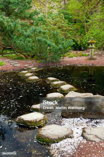 Photo libre de droit de Stones Voie Piétonne Dans Le Jardin Japonais banque d'images et plus d'images libres de droit de Caillou - Caillou, Dessus, Eau