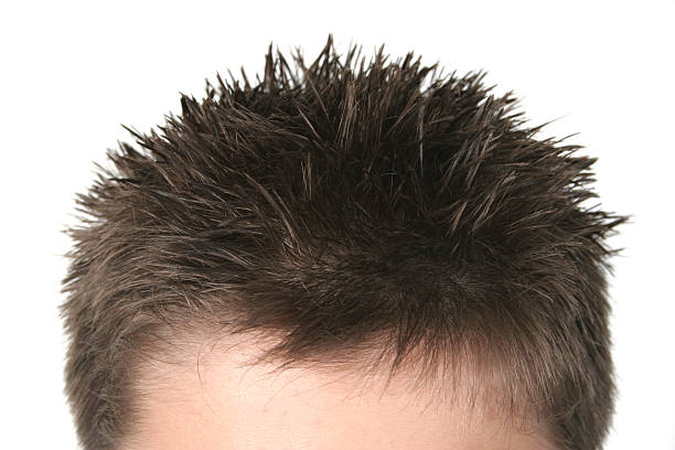 326 Spike Hair Man Stock Photos, Pictures & Royalty-Free Images - iStock