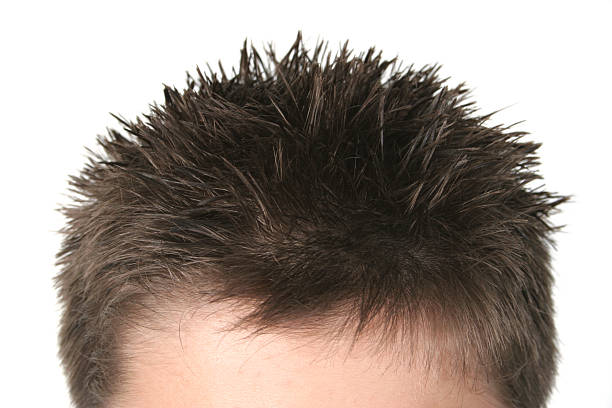 326 Spike Hair Man Stock Photos, Pictures & Royalty-Free Images - iStock 326 Spike Hair Man Stock Photos, Pictures & Royalty-Free Images - iStock