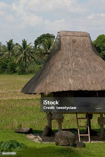 Nipa Chatka - zdjęcia stockowe i więcej obrazów Azja - Azja, Badanie, Bez ludzi