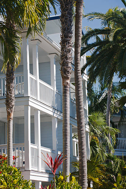 istock Condominiums in the Tropics 184094301