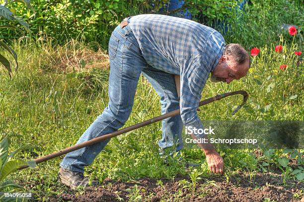 Agricultura De Jardinagem - Fotografias de stock e mais imagens de Arrancar Ervas Daninhas - Arrancar Ervas Daninhas, Puxar, 40-49 Anos