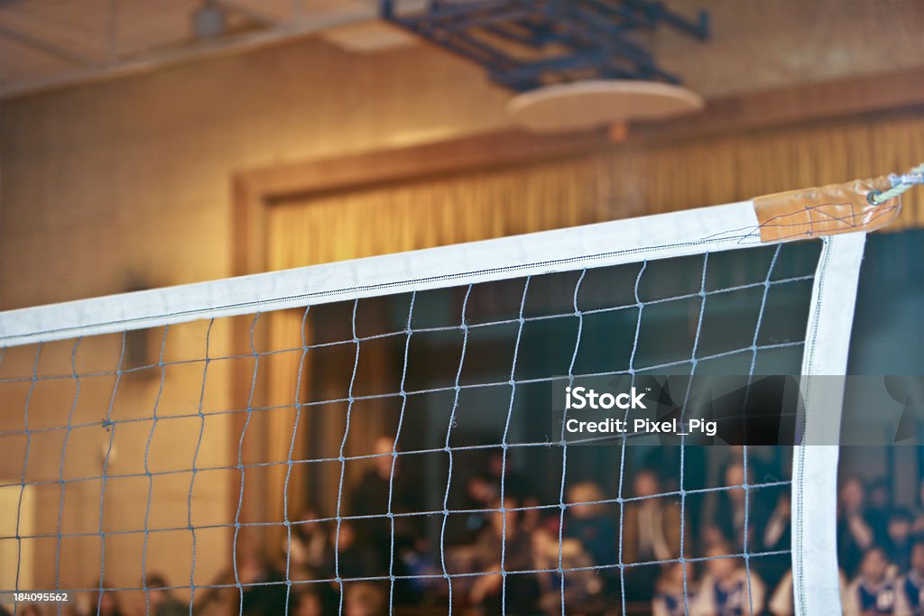 Voleibol Web con multitud - Foto de stock de Actividades recreativas libre de derechos