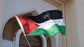 waving the Palestinian flag as a gesture of solidarity during a protest to express support for the residents of Gaza.