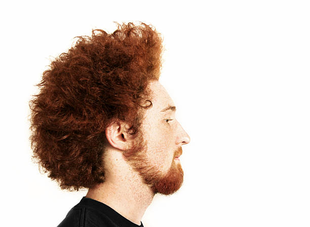 Young man with a ginger Afro and beard stock photo