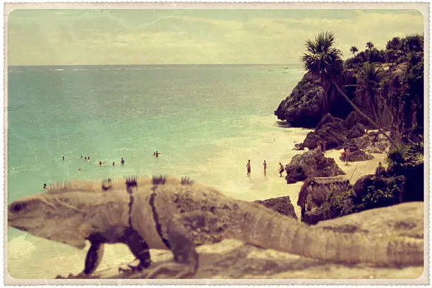 "Retro-styled postcard of an iguana crossing in front of a Tulum, Mexico beach -- all faces have been obscured and all artwork is my own. For hundreds of similar vintage postcards, click the banner below:"