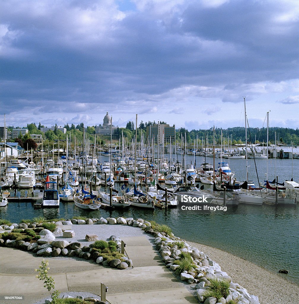 View of Harbor, Park, and Capitol, Olympia, Washington, United States "The Olympia Harbor, Park, and City View taken from port viewing tower. Southern Puget Sound, Washington, United States. Photographed using 6x6 cm color negative film." Olympia - Washington State Stock Photo