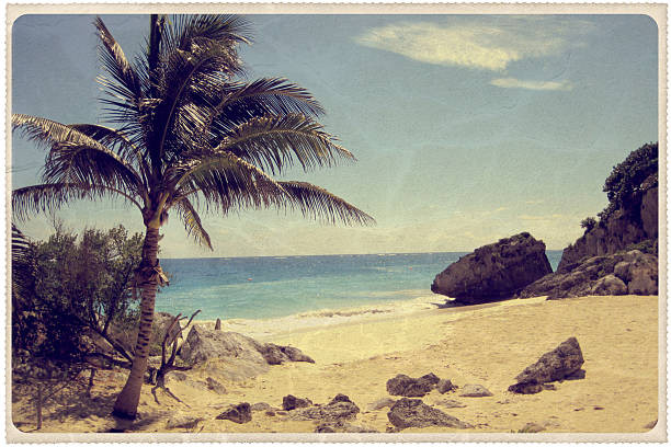 Palm Tree on a Mexican Beach - Vintage Postcard "Retro-styled postcard of a palm tree growing on a reclusive beach in Tulum, Mexico -- all artwork is my own. For hundreds of similar vintage postcards, click the banner below:" perfection photos stock pictures, royalty-free photos & images