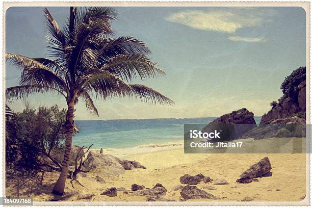 Palm Tree On A Mexican Beach Vintage Postcard Stock Photo - Download Image Now - Postcard, Retro Style, Old-fashioned