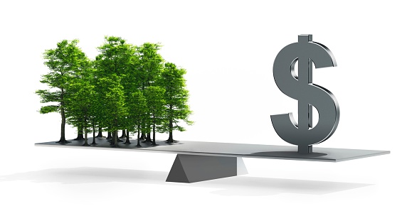 Green economy concept: Dollar sign vs forest on seesaw. Highly detailed computer generated image with subtle grain texture added.