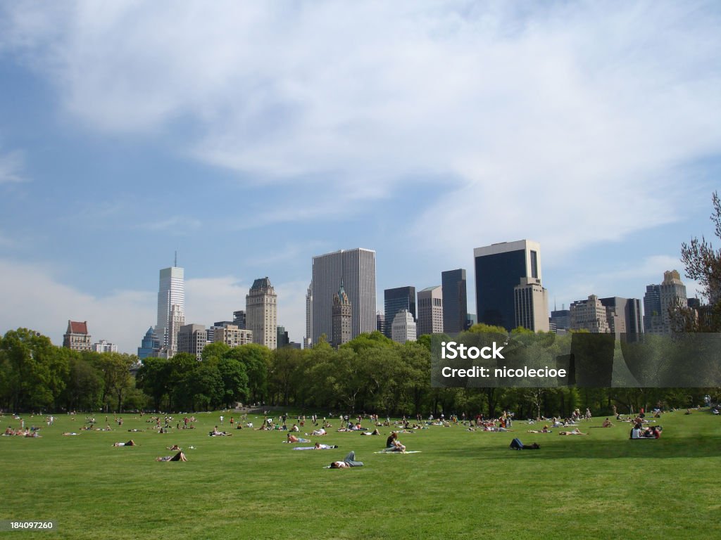 Central Park plażowiczów - Zbiór zdjęć royalty-free (Central Park - Manhattan)