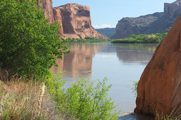 istock Cliffs reflecting in Colorado River near Moab Utah USA 184097261