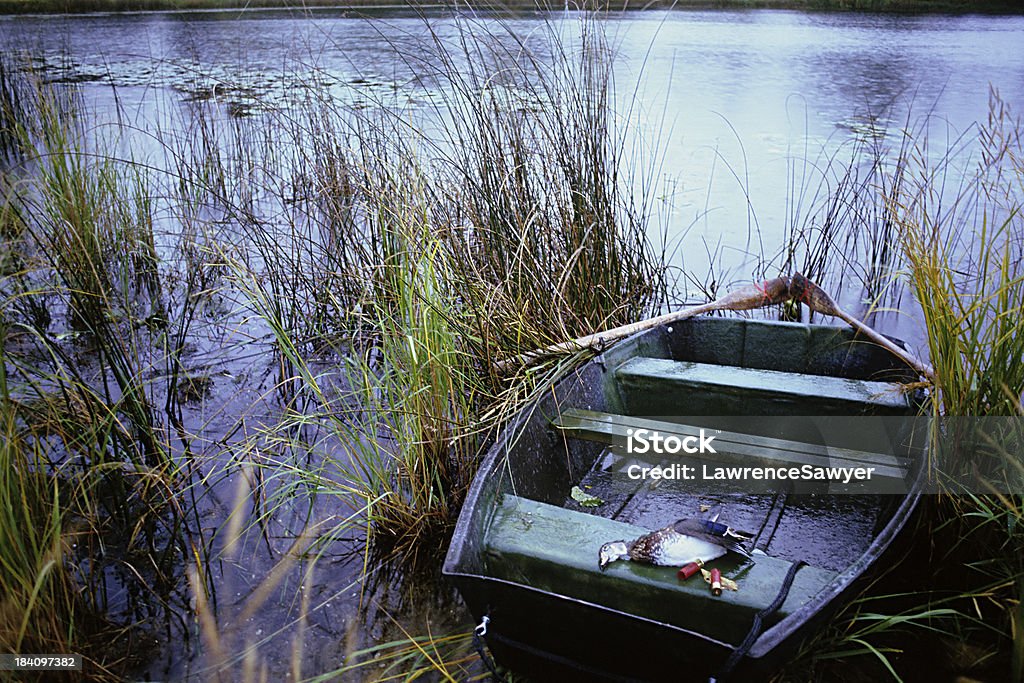 skiff и Мертвое Утка в дождь - Стоковые фото Без людей роялти-фри