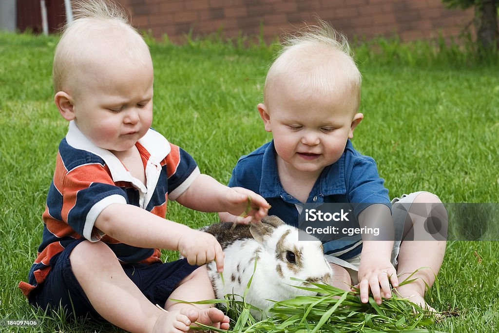 feeding the bunny 2 twin baby boys pile grass in front of this pet bunny rabbit 12-17 Months Stock Photo